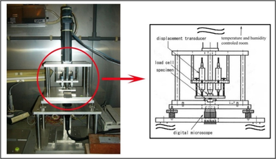 Fig3_20210326