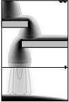 Fig4_2_kikumoto.png